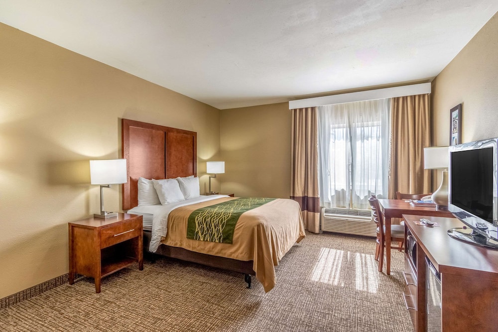 Room, 1 Queen Bed, Accessible - Photo 1