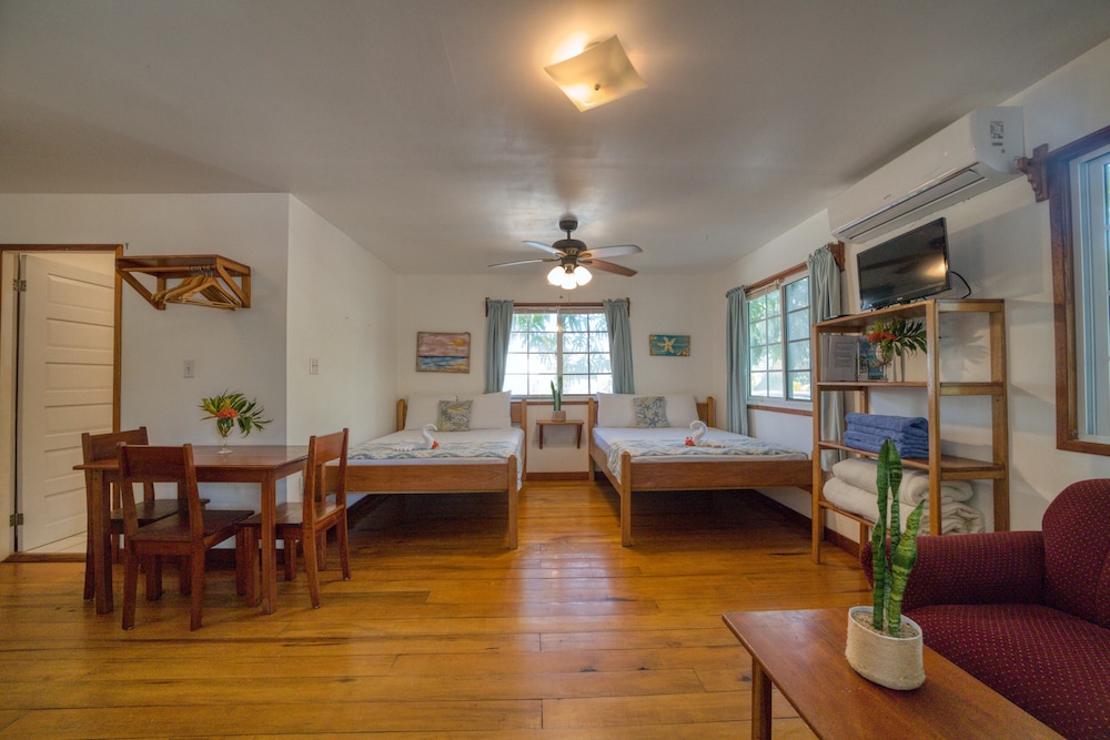Toucan Studio Suite photo 1