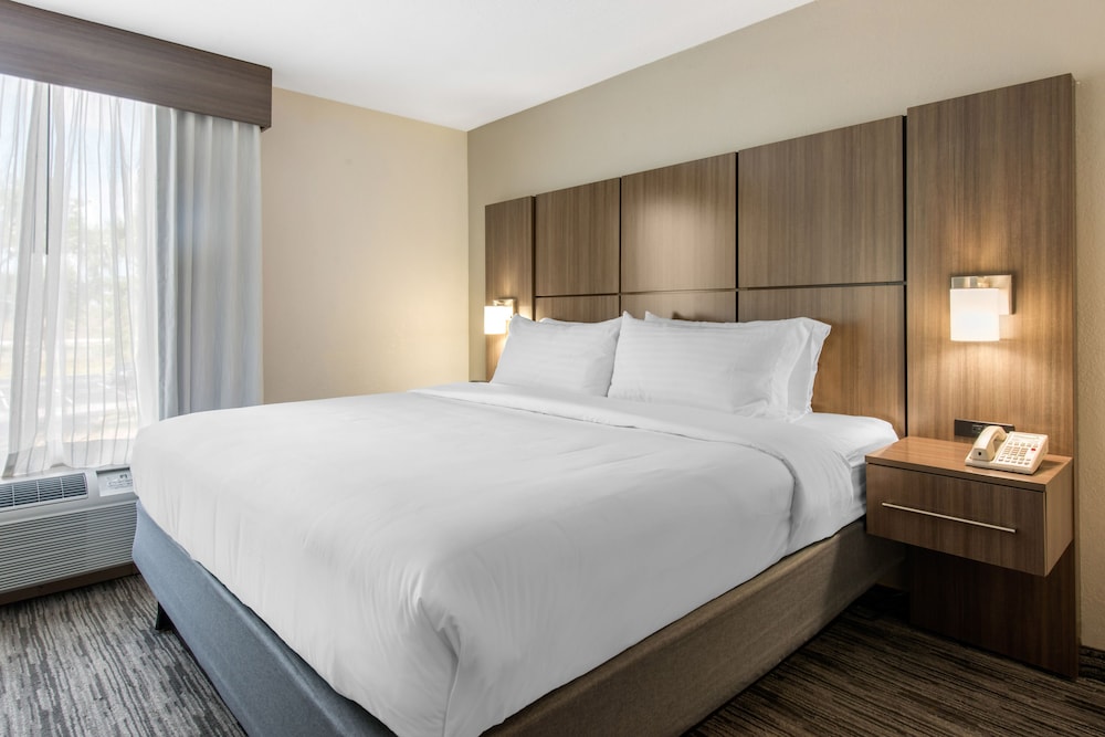 Standard Room, 1 King Bed, Accessible (Communications, Roll-In Shower) - Photo 2