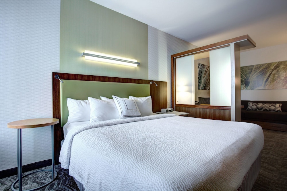 Suite, 1 King Bed - Photo 3