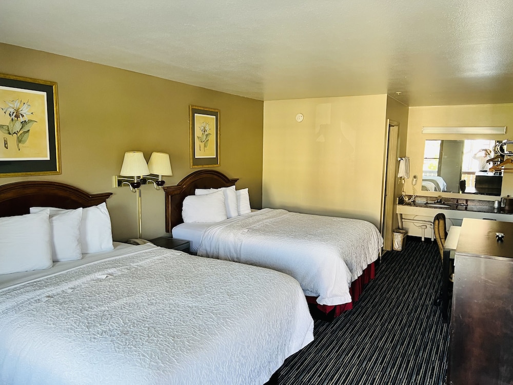 Basic Double Room, 2 Queen Beds, Non Smoking photo 1