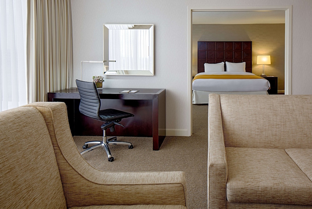 Deluxe Suite, One King Bed photo 2