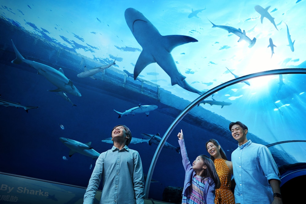 3d2n Double The Fun - Deluxe Room With Comp One Day Tickets For 2 Adults To Uss & S.E.A. Aquarium