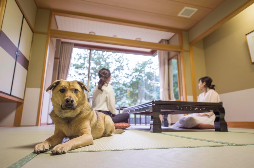 Japanese-Style Room With Private Dog Garden,Non-smoking
