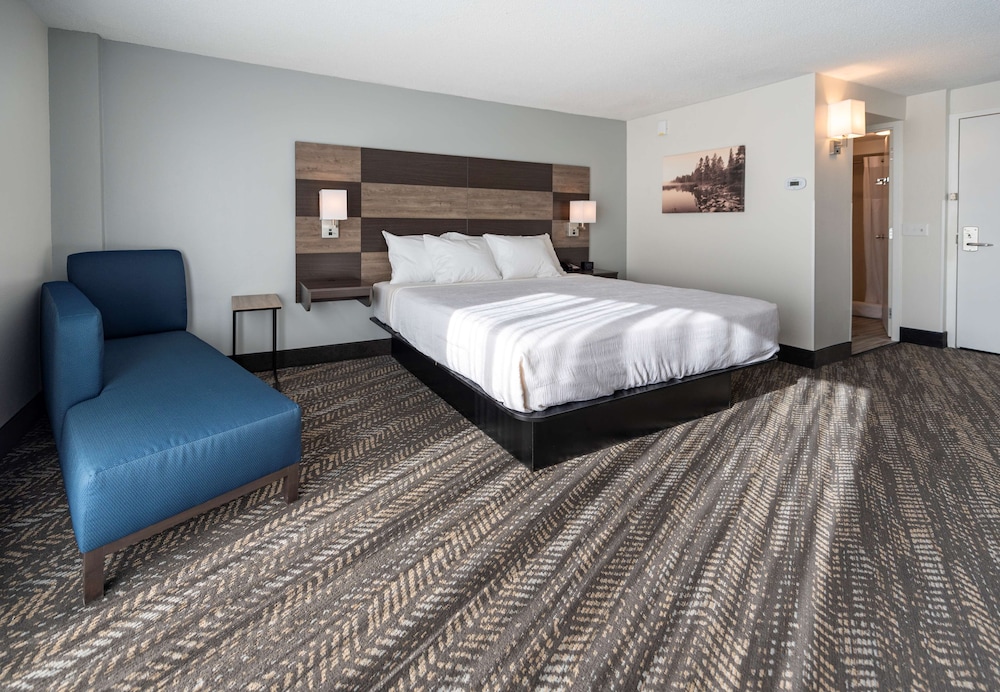 Standard Room, 1 King Bed, Non Smoking, Refrigerator & Microwave (Walk-in Shower) - Photo 1