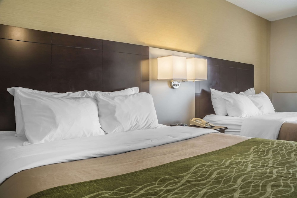 Standard Room, 2 Queen Beds (Interior Corridor 2nd Floor), photo 6