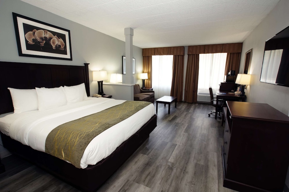 Suite, 1 King Bed, Non Smoking, Refrigerator & Microwave (Larger Room;with Sofabed) - Photo 2