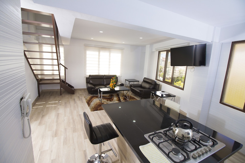 Basic Apartment, 1 King Bed