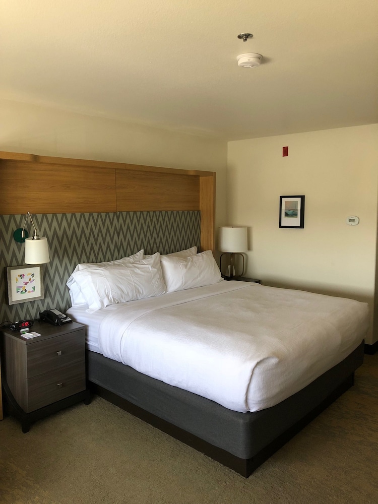 Suite, 1 Bedroom - Photo 1