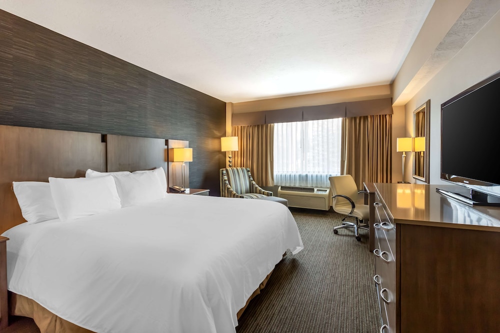 Suite, 1 King Bed, Non Smoking, Refrigerator (with Sofabed) - Photo 3