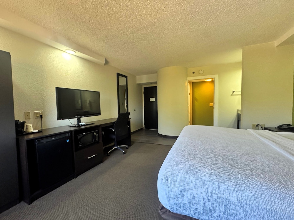 Room, 1 King Bed, Non Smoking