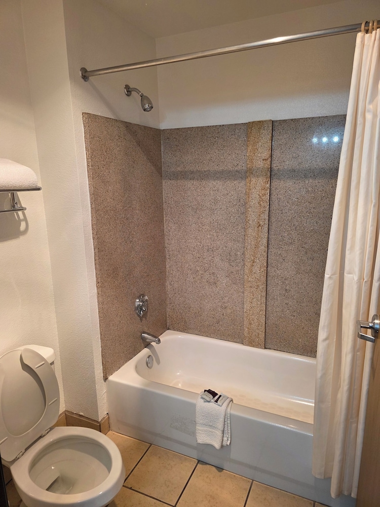 Basic Single Room photo 3