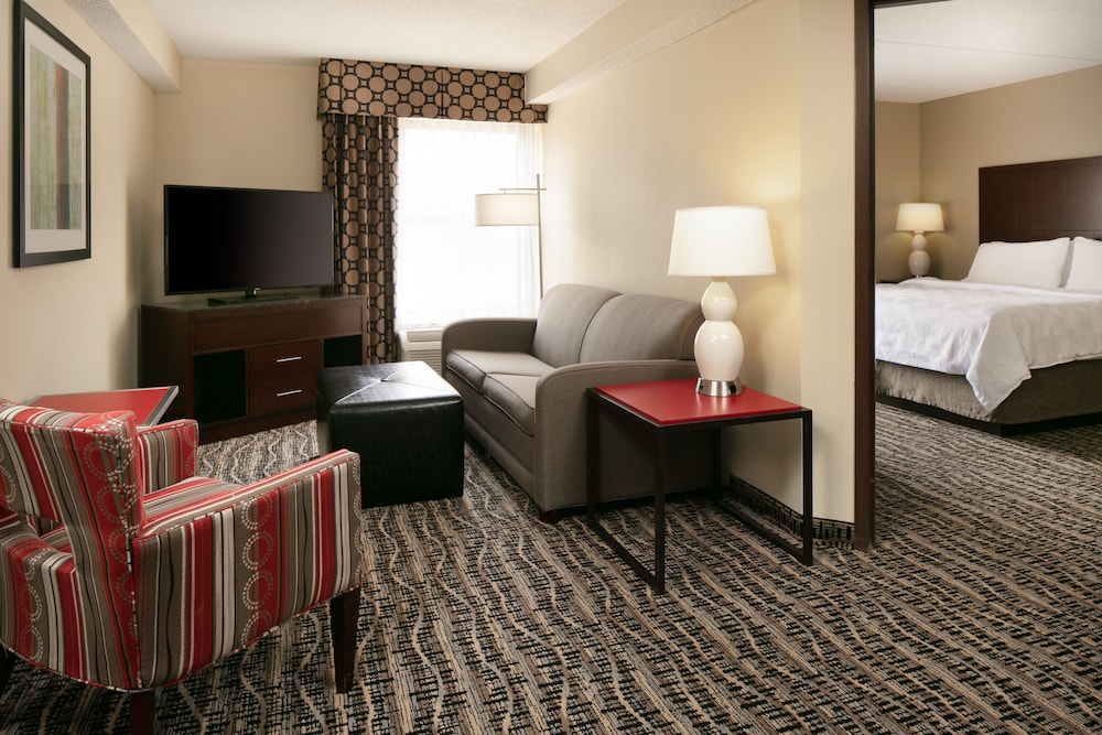 Suite, 1 King Bed - Photo 4