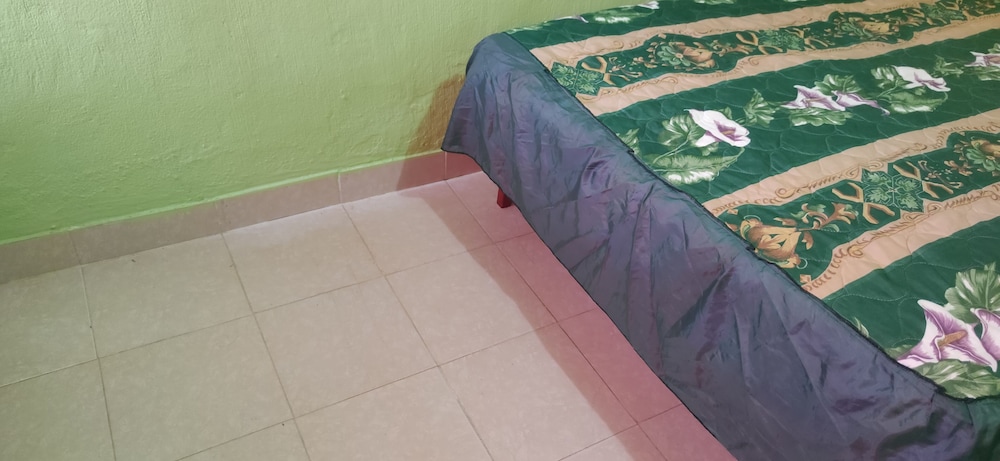 Exclusive Single Room photo 3