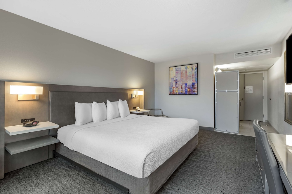 Standard Room, 1 King Bed, Accessible, Non Smoking - Photo 4