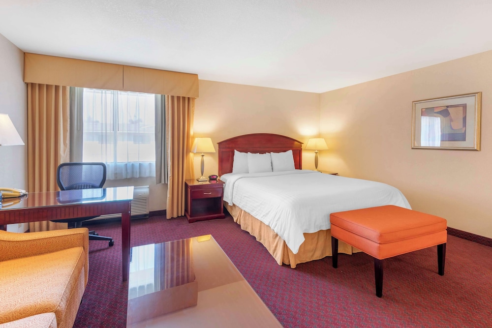 Suite, 1 King Bed, Non Smoking, Refrigerator & Microwave (with Sofabed)