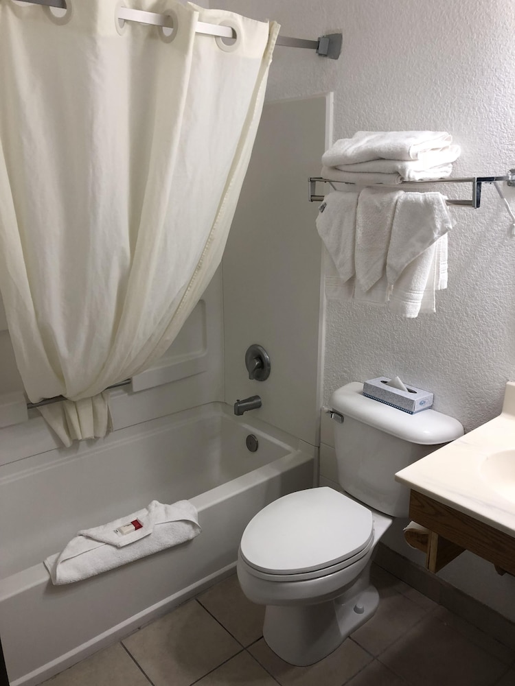 Room, Multiple Beds, Microwave - Photo 5