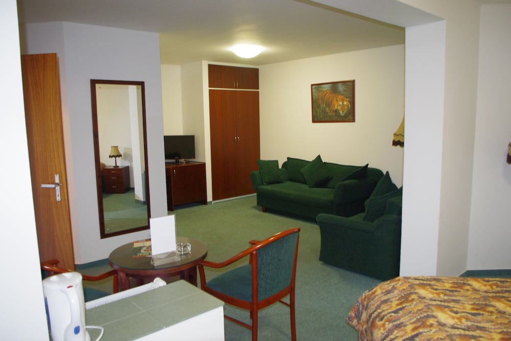 Classic Apartment photo 2