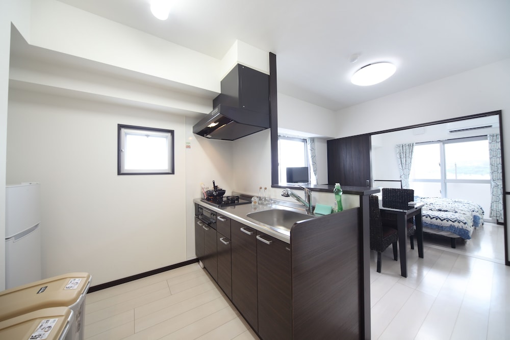 Apartment, 1 Bedroom photo 2