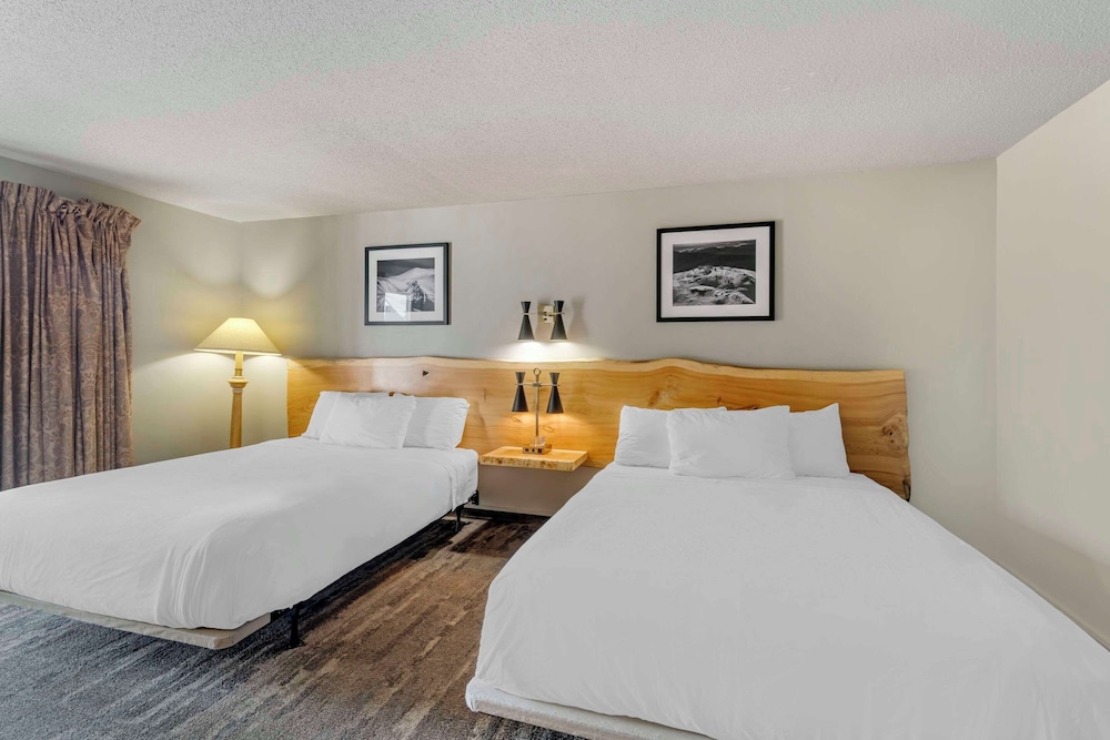 Suite, Multiple Beds, Non Smoking - Photo 1