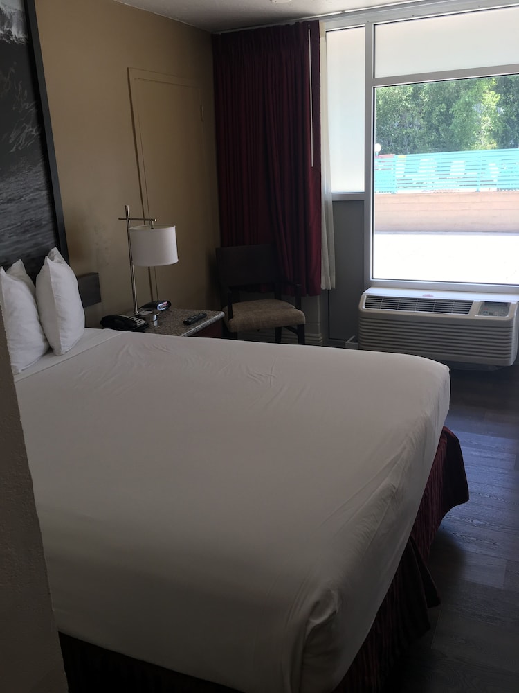 Standard Single Room, 1 Twin Bed, Accessible - Photo 9