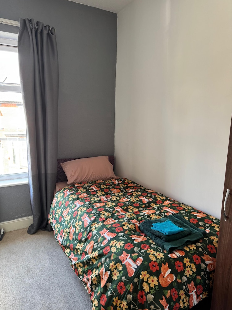 Single Room photo 1