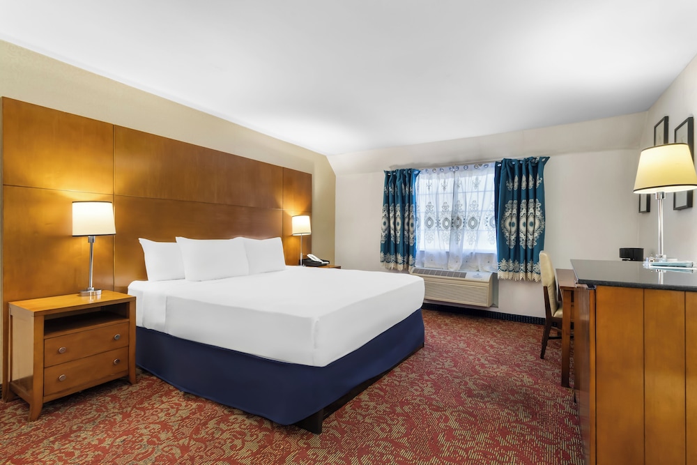 Comfort Single Room, Courtyard View
