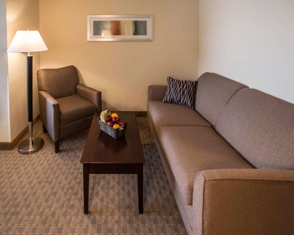 Suite, 1 King Bed with Sofa bed, Non Smoking, Jetted Tub - Photo 4