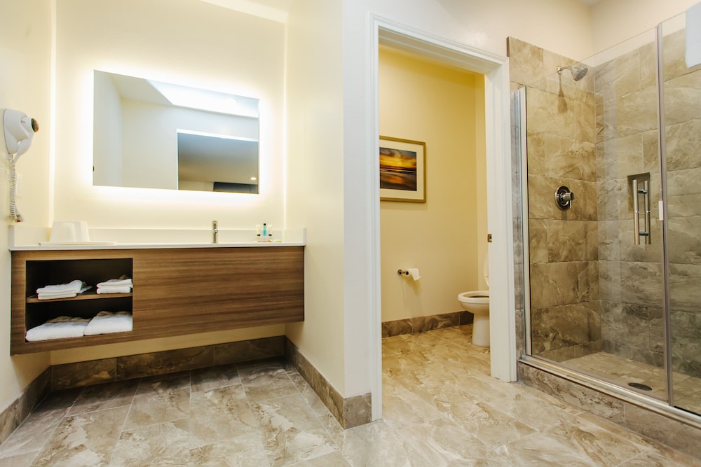 Standard Room, 1 King Bed, Non Smoking, Kitchenette, photo 6