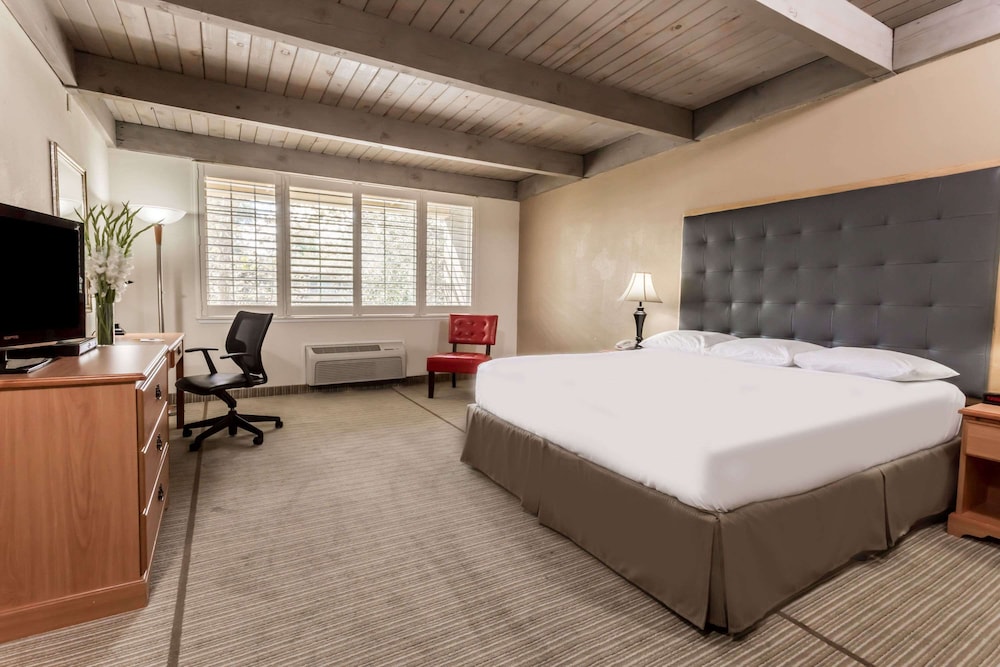 Room, 1 King Bed, Accessible, Non Smoking (Mobility, tub w grab bars) photo 1