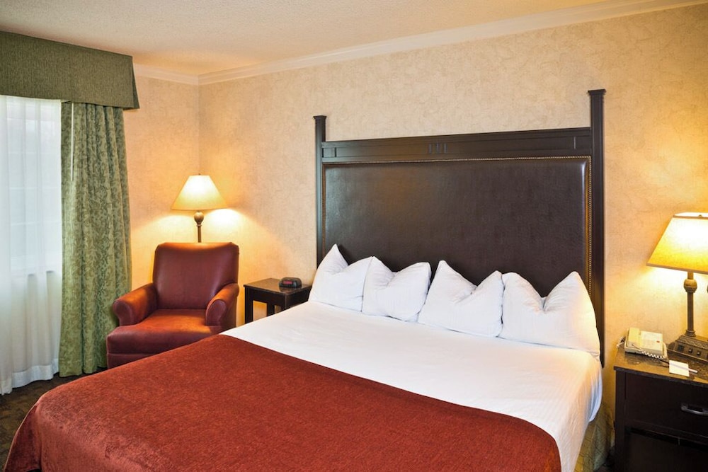 Deluxe Room, 1 King Bed, Jetted Tub, Pool View - Photo 1
