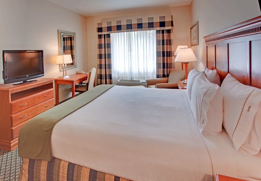 Standard Room, 1 King Bed, Accessible, Non Smoking (Comm, Mobility, Access Tub)