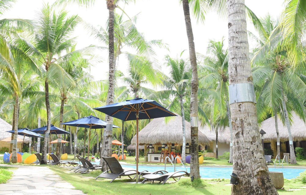 Deluxe Double or Twin Room with Pool View photo 2