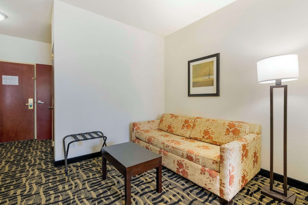 Suite, 1 King Bed With Sofa Bed, Accessible, Non Smoking photo 2