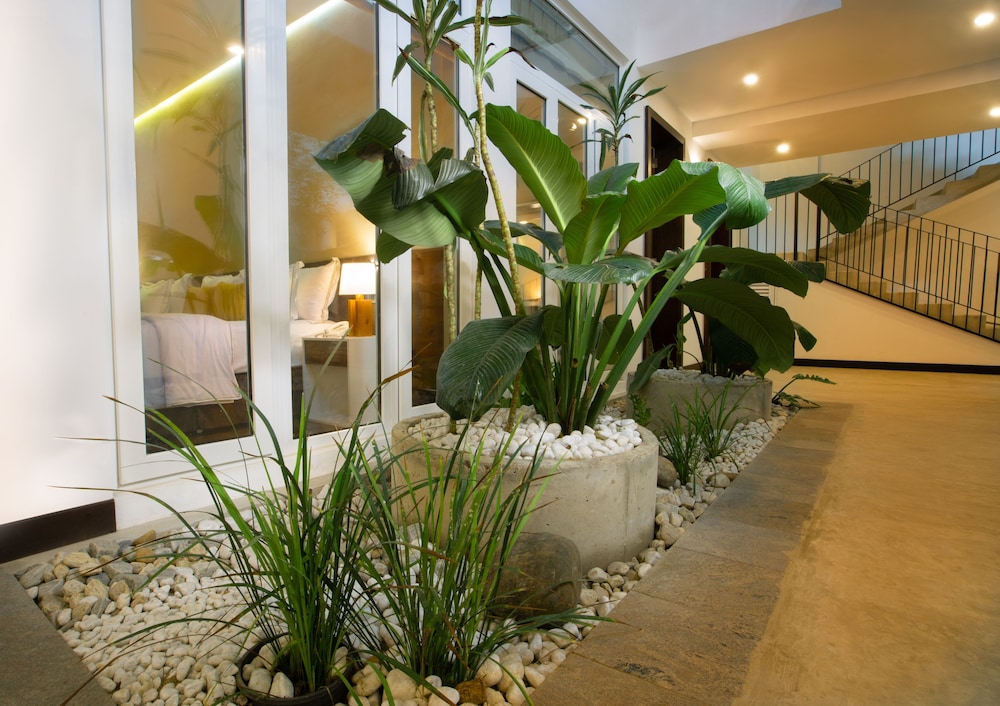 Deluxe King (Courtyard View)