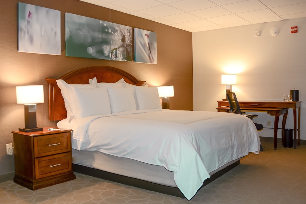 Studio Suite, 1 King Bed, Kitchenette photo 3