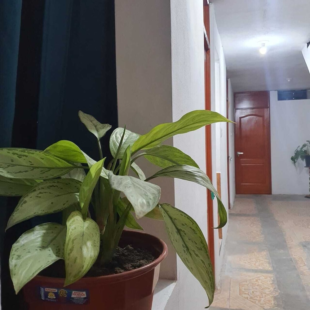 Triple Room photo 2