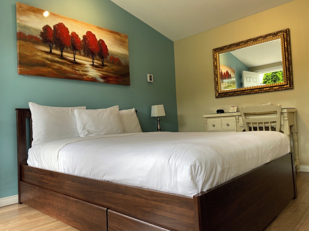 Economy Room, 1 Queen Bed photo 1