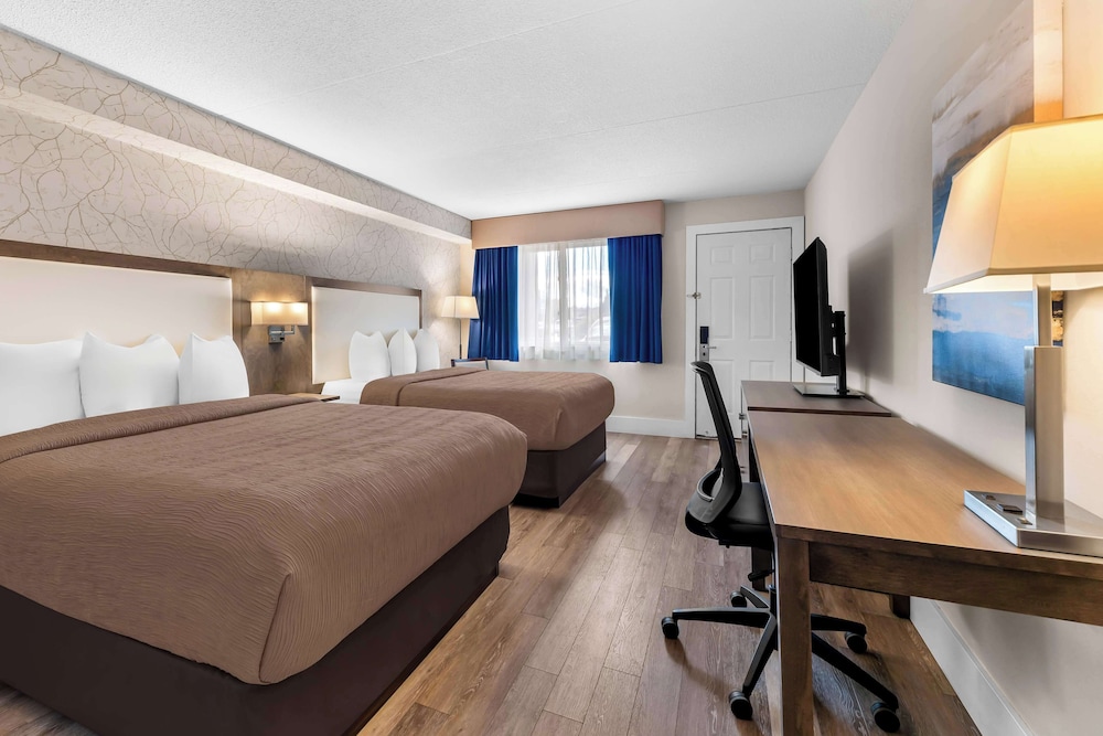 Standard Room, 2 Queen Beds, Non Smoking, Refrigerator & Microwave (Pet Friendly) photo 2