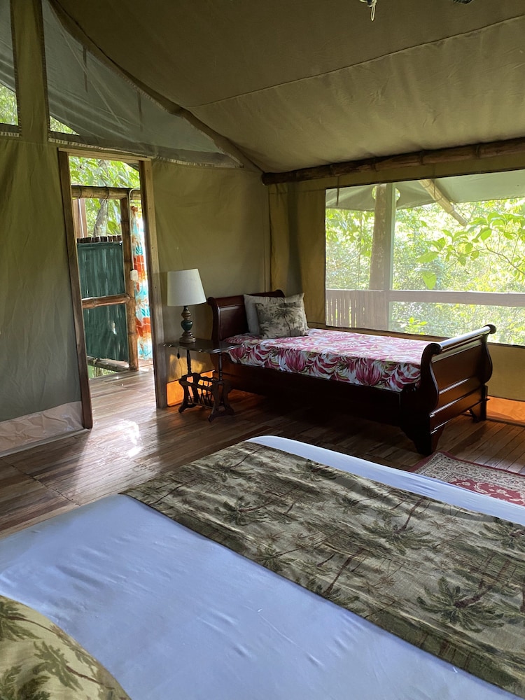 Deluxe Tree House, Hill View photo 2