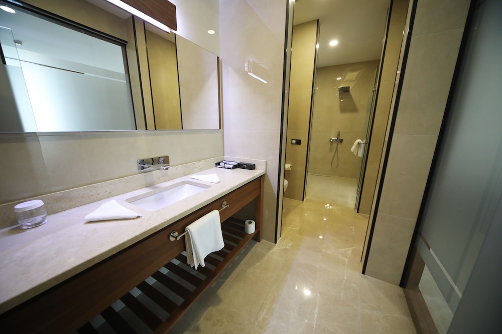 Deluxe Suite photo 2