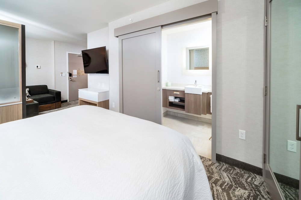 Suite, 1 King Bed with Sofa bed - Photo 3