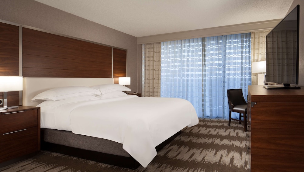 Deluxe Room, 1 King Bed, Accessible, Bathtub (Mobility & Hearing) - Photo 6