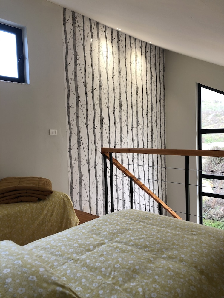 Luxury Villa photo 3