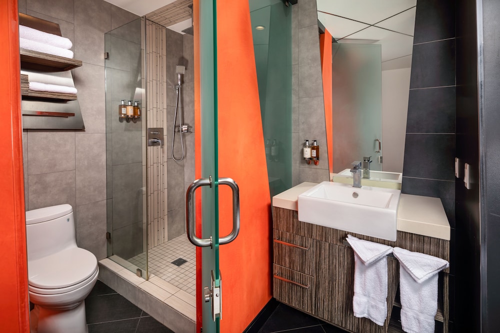 Junior Studio Suite