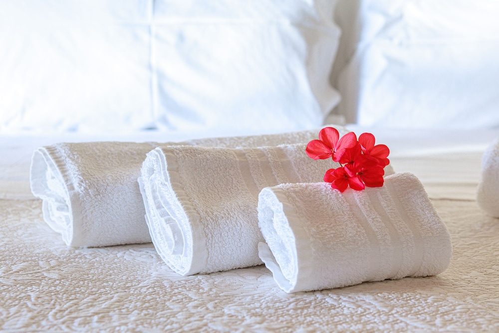 Classic Double or Twin Room, Garden View