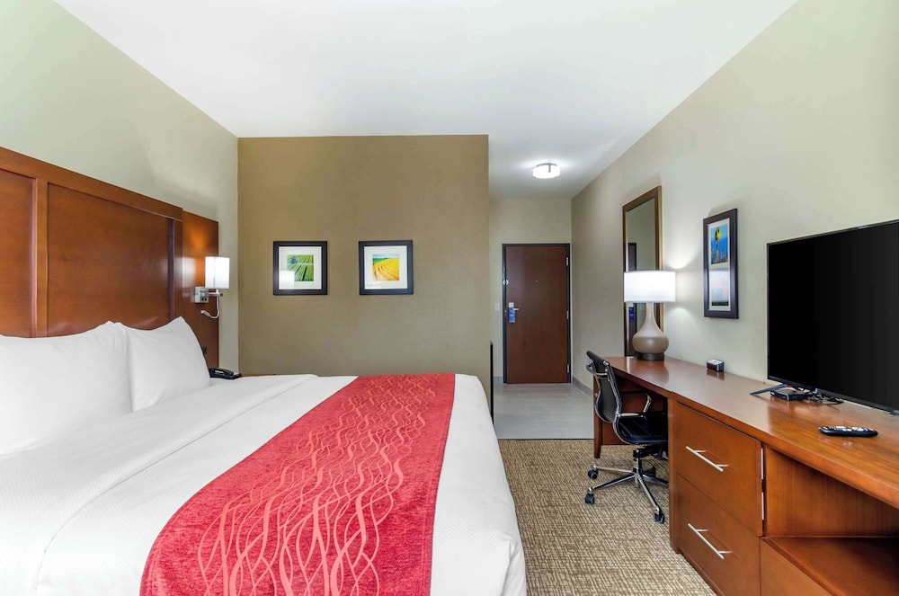 Room, 1 King Bed, Non Smoking (Wet Bar) photo 2