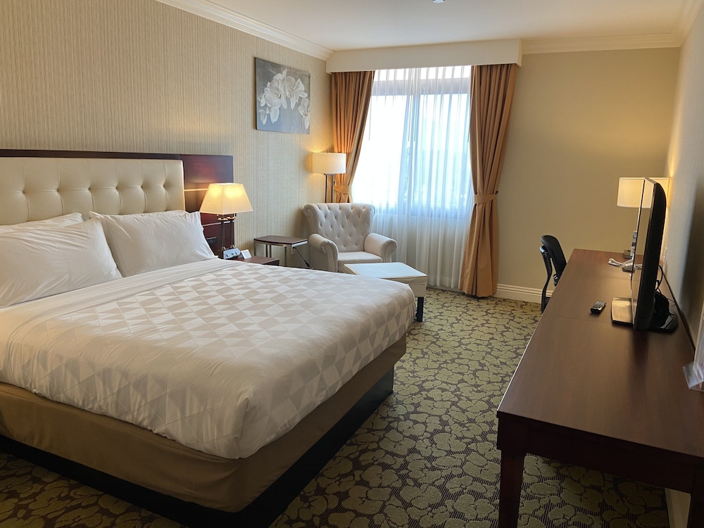 Premium Room, 1 King Bed (Minifridge) photo 1