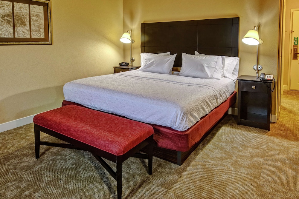 Room, 1 King Bed, Non Smoking