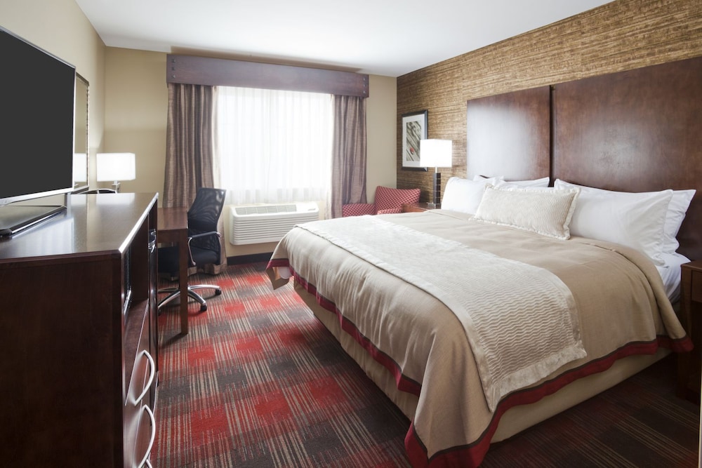 Room, 1 King Bed